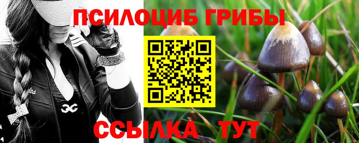 Псилоцибиновые грибы прущие грибы Унеча